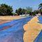 16mesh Blue Nylon Net Agricultural Paddy Rice Drying Plastic Screen PE Plastic Monofilament Anti Insect Mesh