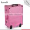 Fashional design pink lighted mirror cosmetic makeup beauty trolley carring case