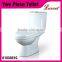 Economic shower room Washdwon wall mounted one piece Toilet