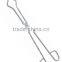 Aquatic Forceps 8"