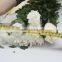 Various promotional price chrysanthemum cut