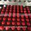 Good Quality Colored Rubber Ball 25mm