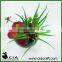 Hot Artificial Mixed Potted Succulents Plants in Concrete Barrel Pot