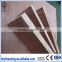 China hot sale bintangor plywood in Linyi with two times hot press