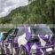 Graffiti sticker vinyl car wrap/high quality Jiangsu vehicle stickers