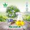High quality organic Linseed Oil Flax Seed Oil