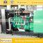 CE approved 250kw biogas generator for farm use