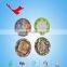 Eco-friendly disposable party paper plate with print
