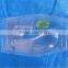 teaching Plant cell model