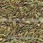 Cumin Seed