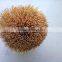 Round Agarbatti Bamboo Stick/Bamboo Sticks for Incense