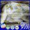 Fish Farming Frozen Whole Round Golden Pompano Pomfret