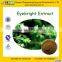 GMP manufacturer supply 100% Pure Eyebright Powder for Eye Health