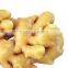 for Eastern Europe Market Wholesale Ginger