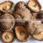 Detan Organic dried shiitake mushroom prices