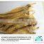 Dried bombay duck fish(Harpadon nehereus)
