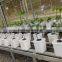 Expanded Clay for hydroponics and gardening