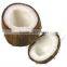 Cocount Oil Crude Extact Handmade Soap 50g