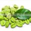 Beauty Products Function and Herbal Supplements Type green coffee bean extract