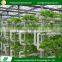 Commercial greenhouses structure with hydroponic system