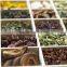 High Efficiency TQ Series Chinese Medicinal Herb Extracting Pot