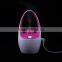 Creative House Decorative Air Humidifier, Basket Design Desk USB Mini Air Humidifier For Wholesale