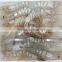 Sea Frozen White Shrimp