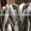 good quality block frozen sardines with price