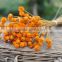 Dried natural small mini flower Brazilian art artificial dried flower home decoration