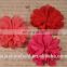 2.75" Scallop Ruffuled Ballerina Chiffon Petal Flowers Baby Headbands flower Infant Headbands QueenBaby