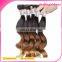 Factory Price Body Wave Human Hair Three Tone 100% Human Hair Weft Curly 6A