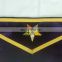 HAND EMBROIDERED MASONIC OES WORTHY PATRON APRON AND COLLAR PURPLE-HSE