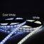 DC24V LED Strip 5050 60LEDs/m 5M/lot IP65 waterproof LED Flexible strip Light 5050 RGB white,warm white, LED Tape