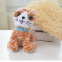 Latest Plush Toy  Wholesale Stuffed Animals Cat With Star Design