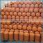Small Size Portable LPG Gas Cylinder With 6KG Weight