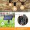 New Energy Garden Solar G40 Led Lights Outdoor Decorative 3W Solar Panel