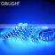 5000k 5050 smd led strip light light 12/24 v single row double row ip65 ip68 high lumen 5050 smd led strip