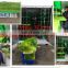 cheap price automatic green barley/wheat hydroponic fodder growing system