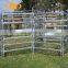 China supplier cheap and hot sales welded sheep/rams/hogget/cattle railing fence