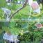Low Cost Agricultural Greenhouse Anti Insect Proof Plastic Net low price