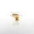 Gold Shiny Bowl