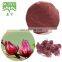 Hibiscus flowers extract powder 10:1,20:1