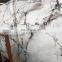 Cheap Clean Translucent White Marble Onyx Stone