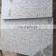 Grey granite swimming pool cover