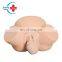 HC-S307 Medical Science Teaching Manikin advanced midwifery training model,obstetric labor and midwifery training model