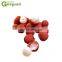 GYC litchi lichi lichee leechee lychee nucleus stone remover removing machine