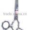 Salon Scissors