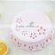 decorative christmas dry fruit plate
