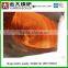 small scale industries hot water boiler