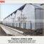 China commercial greenhouse for sale